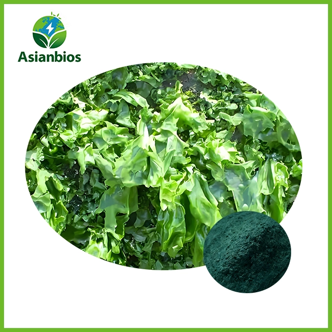 spirulina extract powder